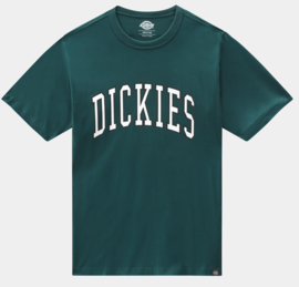 DICKIES AITKIN T-SHIRT PONDEROSA PINE