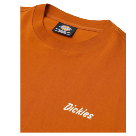 DICKIES BETTLES T-SHIRT PUMPKIN SPICE