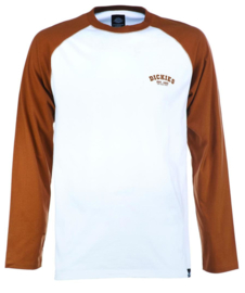 DICKIES BASEBALL T-SHIRT BROWN DUCK