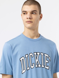 DICKIES AITKIN T-SHIRT ALLURE