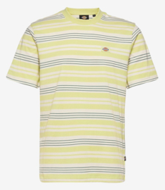 DICKIES WHEATON T-SHIRT LIME GREEN