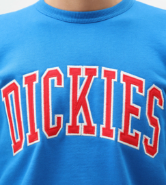 DICKIES MOUNT SHERMAN CREW SWEATER BRIGHT BLUE