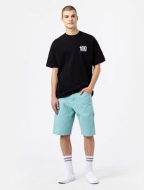 DICKIES DUCK CANVAS SHORT SW PORCELAIN