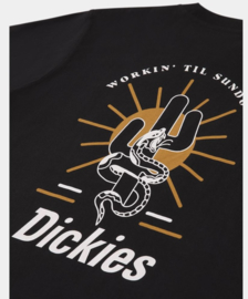 DICKIES BETTLES  T-SHIRT BLACK