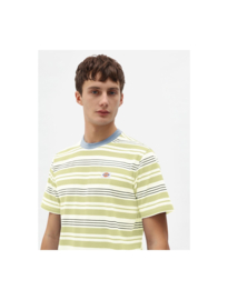 DICKIES WHEATON T-SHIRT LIME GREEN