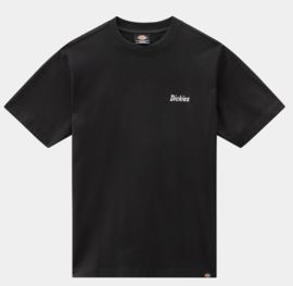 DICKIES BETTLES  T-SHIRT BLACK