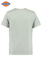 DICKIES BELFRY T SHIRT GREY MELANGE