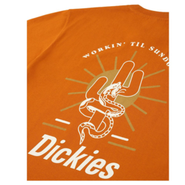 DICKIES BETTLES T-SHIRT PUMPKIN SPICE