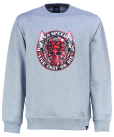 DICKIES SPRINGLAKE SWEATSHIRT GREY