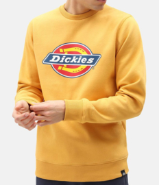 DICKIES PITTSBURGH SWEATER APRICOT