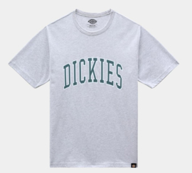 DICKIES AITKIN T-SHIRT LIGHT GRAY