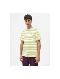 DICKIES WHEATON T-SHIRT LIME GREEN