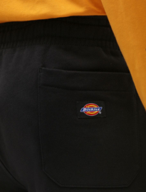 DICKIES CHAMPLIN SHORTS BLACK