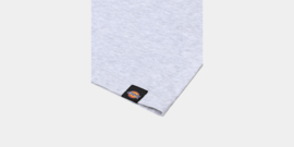 DICKIES AITKIN T-SHIRT LIGHT GRAY