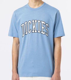 DICKIES AITKIN T-SHIRT ALLURE