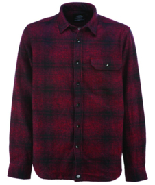 DICKIES IVYLAND SHIRT MAROON