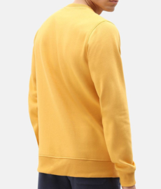 DICKIES PITTSBURGH SWEATER APRICOT