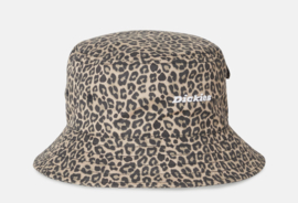 DICKIES SILVER FIRS BUCKET HAT LEOPARD