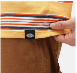 DICKIES LITHIA SPRINGS T-SHIRT APRICOT