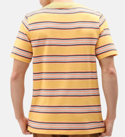 DICKIES LITHIA SPRINGS T-SHIRT APRICOT