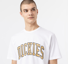 DICKIES AITKIN T-SHIRT WHITE