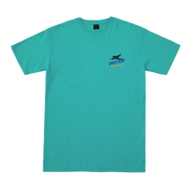 DARK SEAS BIRDLAND  T-SHIRT CELADON