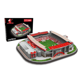 3D stadionpuzzel ELLIS PARK - Lions