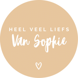 Custom made sticker - heel veel liefs