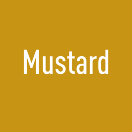 Bibs Fopspeen Mustard - T2 - 6-18 Maanden