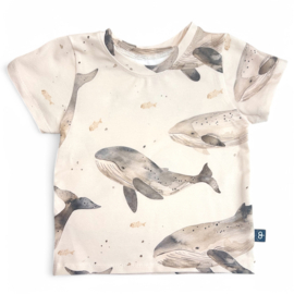 T-shirt - Walvis