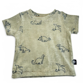 T-shirt sponge - dino