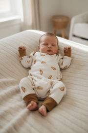 Boxpakje  - Croissant