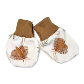 Krabwantjes  Moth