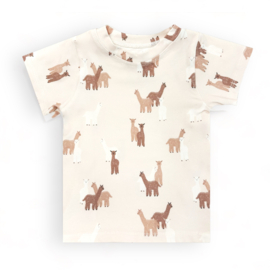 T-shirt - Alpaca