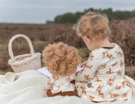 Poppenkleding setje - Jurkje Hertjes