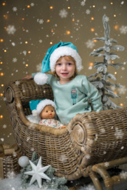 Sweater - Notenkraker Mint