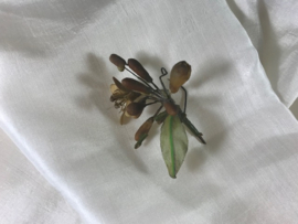Antieke Franse corsage met wasbloemen 19e eeuws