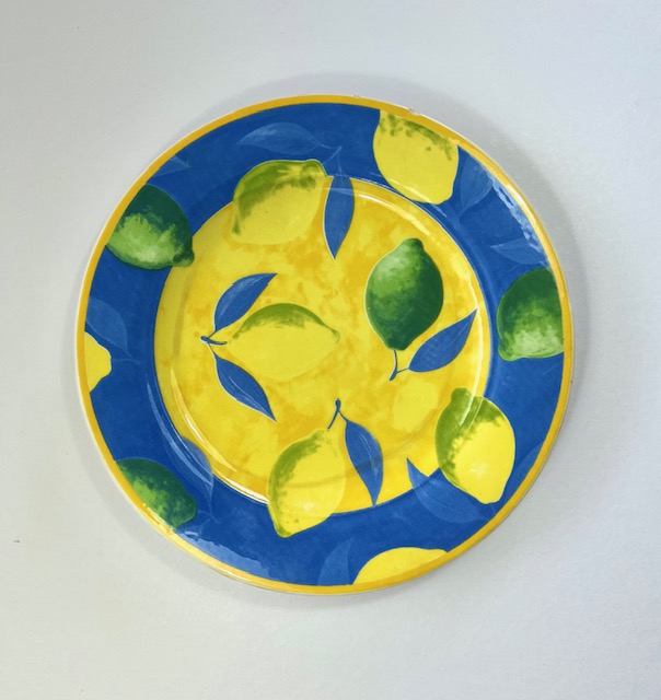Faience ligne Hôtesse plat bord diner bord citroenen