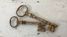 Set Franse roestige sleutels