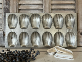 Franse vertinde bakplaat voor 12 Madeleines