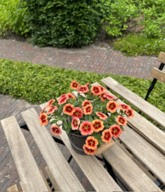 Metalen draadijzeren bloempotje met houten klosje