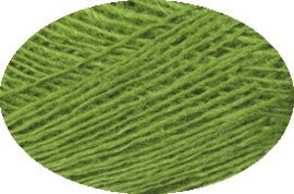 Einband 1764 vivid green