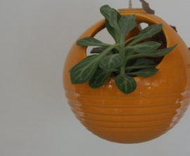 Geel hang bloempot