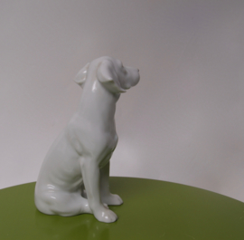 Beeld van hond 20 cm