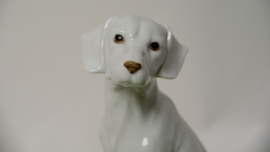 Beeld van hond 20 cm