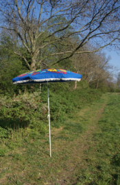 Vintage parasol blauw met bloemprint