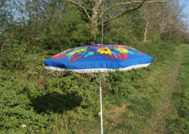 Vintage parasol blauw met bloemprint