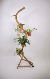 Vintage Rohe rotan plantenstandaard, jaren 60 bamboe slang