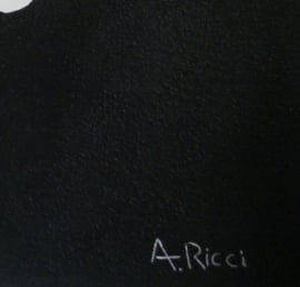 Groot zwart wit schilderij van A.Ricci