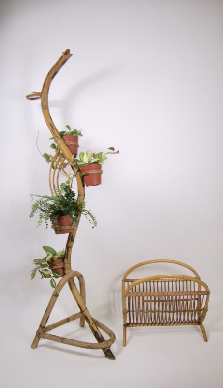 Bemiddelaar Onbelangrijk Iets Vintage Rohe rotan plantenstandaard, jaren 60 bamboe slang | Verkocht |  RetroLoes